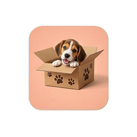 Dog Boxes