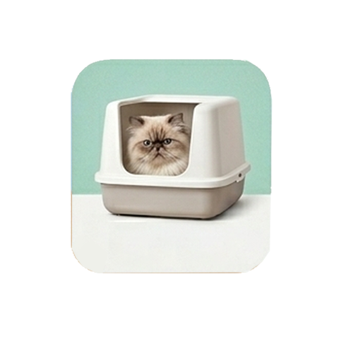 Litter Box