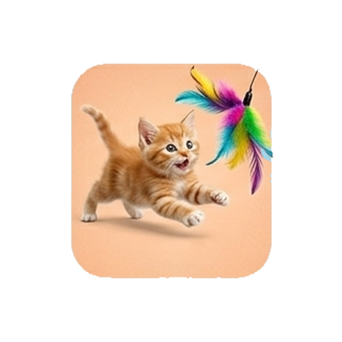 Cat Toys
