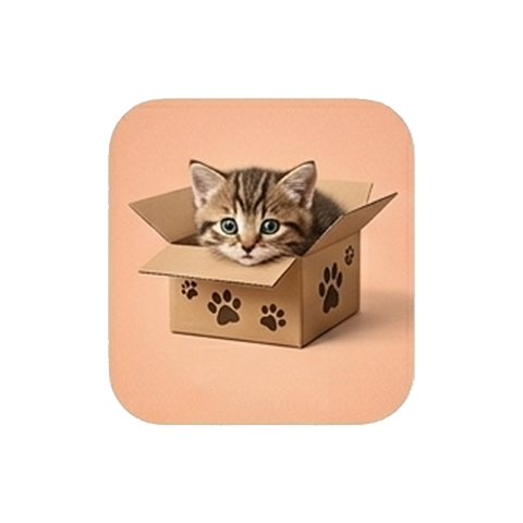 Boxes