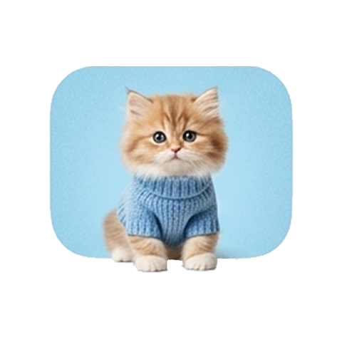 Cat Clothes