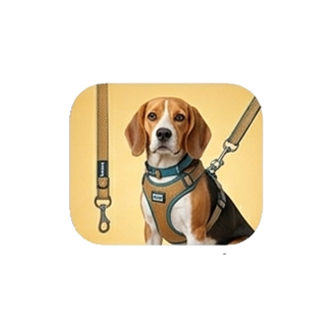 Dog Collars , Leashes & Vest