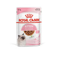 Royal Canin Kitten Thin Slices in Gravy Wet Food - 85 g Pouch (Up to 12 Months)