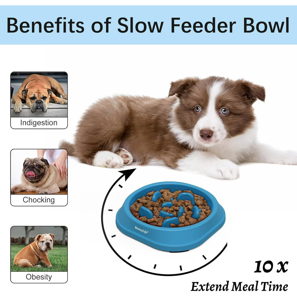 MateeyLife Slow Feeder Dog Bowls 2PCS, Non Slip Cat Food Bowls, Bloat Stop Maze Dishes, Interactive Feeder for Small Breeds 1 Cup LightBlue&DarkBlue