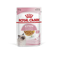 Royal Canin Kitten In Jelly (85gm\ Pouch) - Wet Food