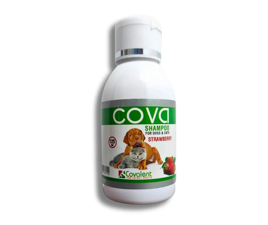 Cova Shampoo For Dogs & Cats ( Strawberry )