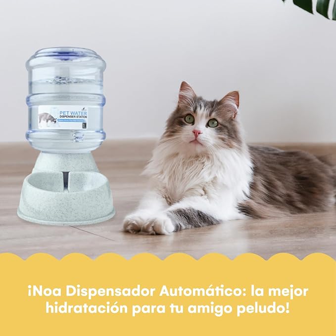 Noa Store Automatic Pet Feeder | water  Dispenser for Cats and Dogs - Gravity Feeder - Feeding Supplies for Dogs and Cats