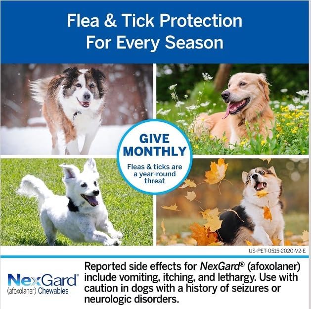 NexGard Chewable Tablet for Large Dogs (25-50 kg) From Varmacy – Fast-Acting Flea & Tick Protection, Beef-Flavored Monthly Treatment 1 Tablet