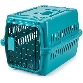 Cat carrier with green colour