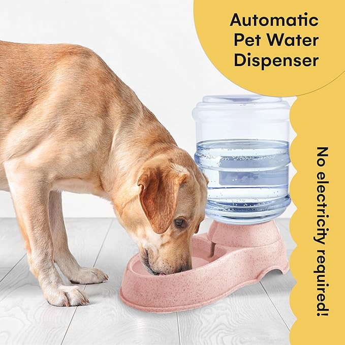 Noa Store Automatic Pet Feeder - 1 and 3 Gallon Cat & Dog Feeder and Water Dispenser, Cat Food Bowl