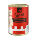 Yummy Wet Cat Food Chunks with Beef in Gravy