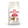 Royal Canin Fit 32 Dry food for cats ( 400g)
