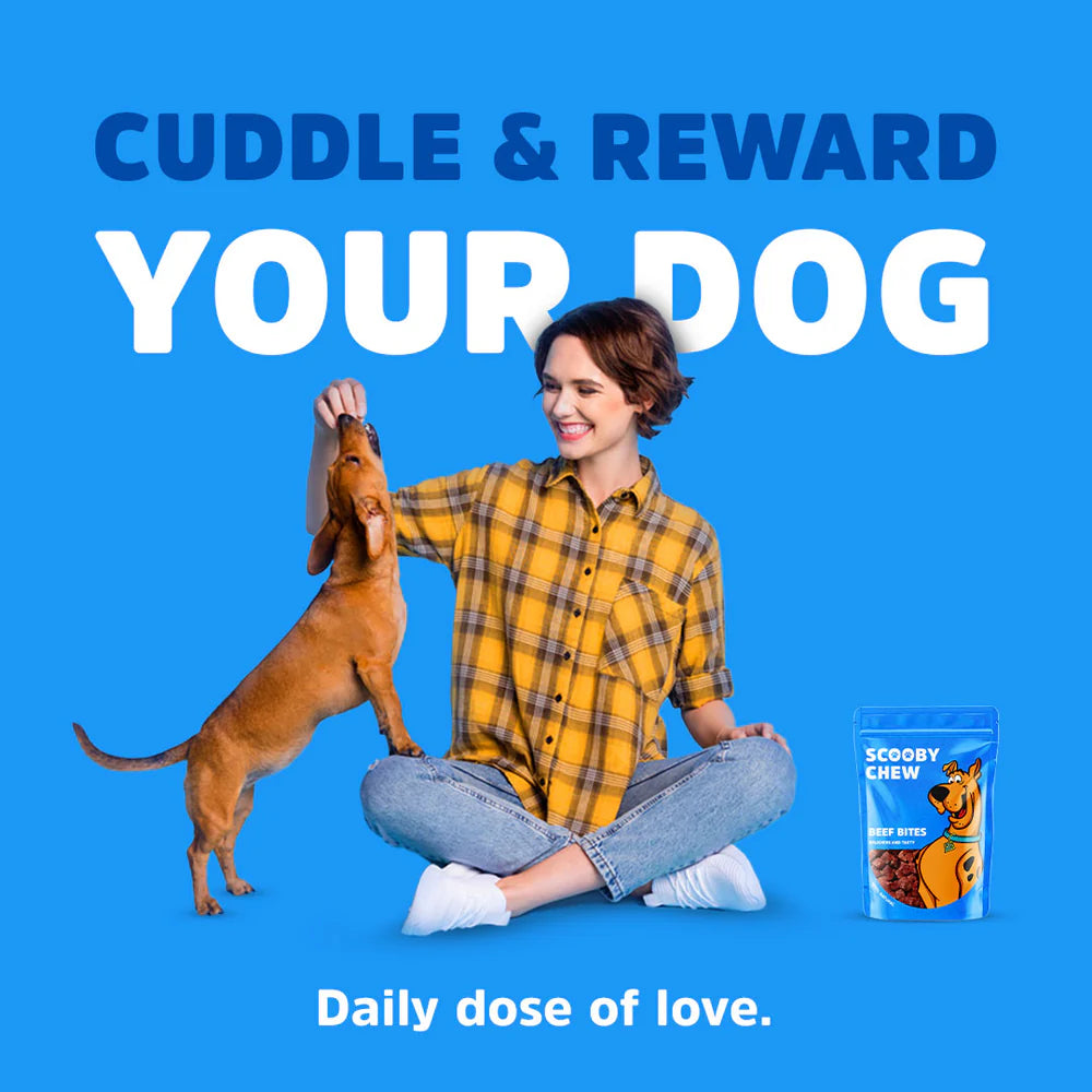 Scooby Chew Beef Bites - Dog Treats 120g