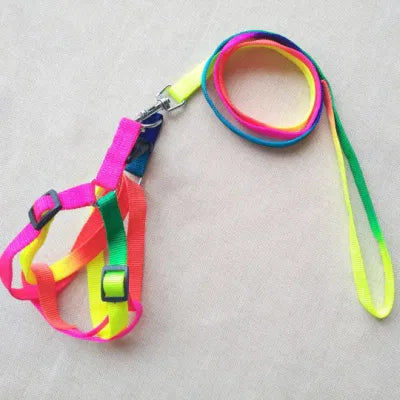 PET's Harness with Leash Set_Colorful Nylon
