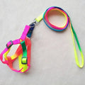 PET's Harness with Leash Set_Colorful Nylon