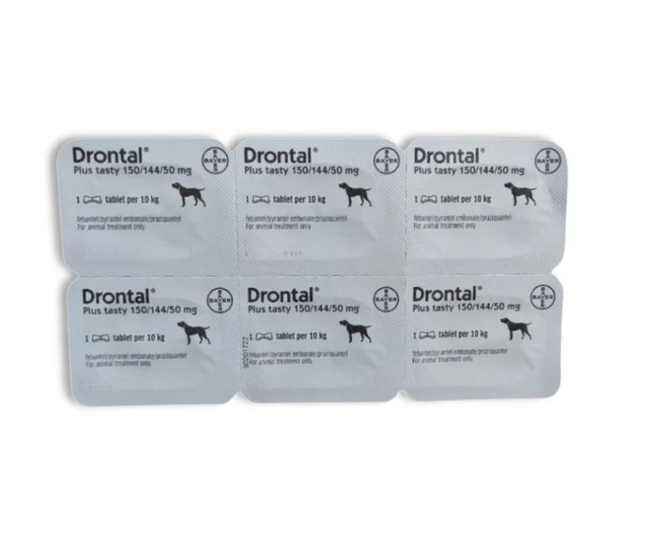 Drontal Dogs Bone (1 Tablet)