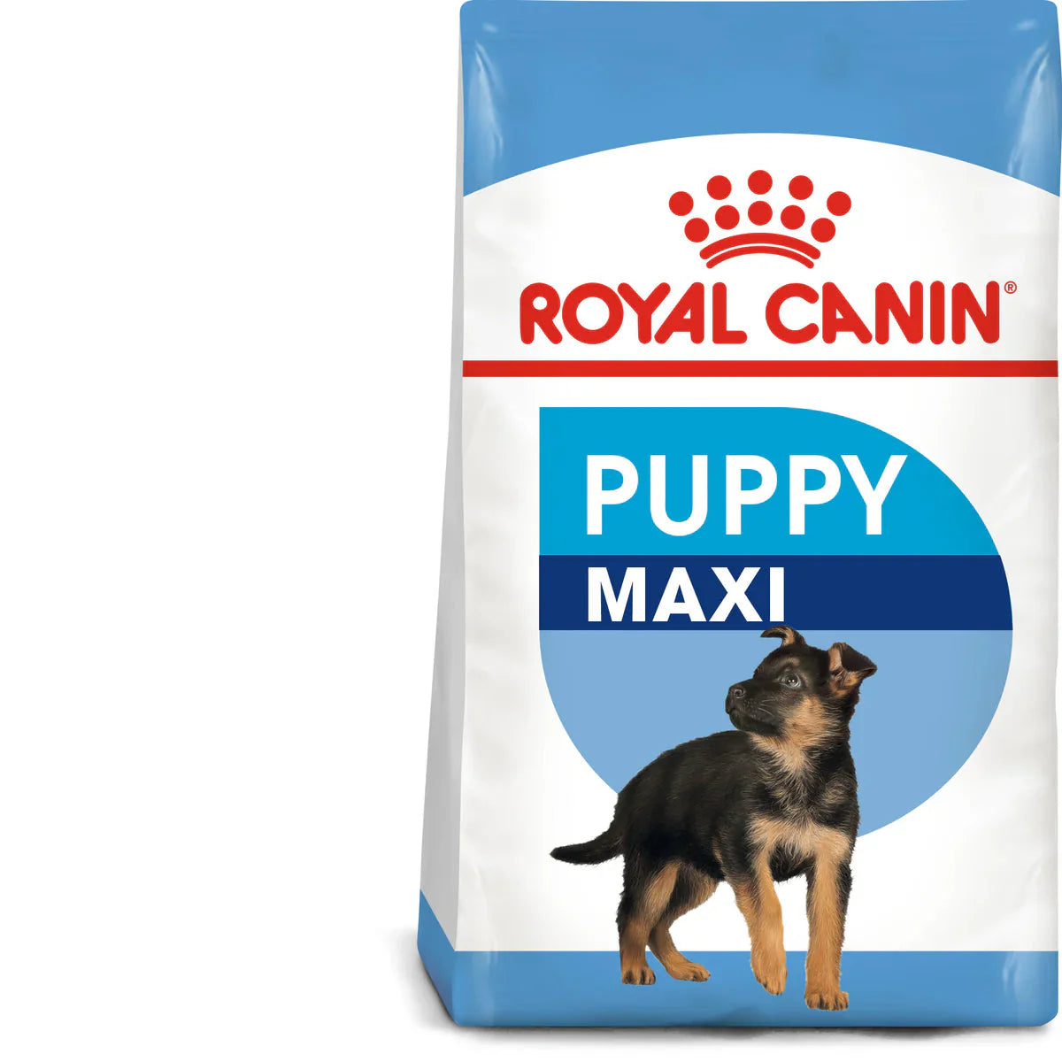 Royal Canin Maxi Puppy (4KG) - Dry food for large dogs - Adult weight from 26 to 44 KG. From 2 to 15 months
