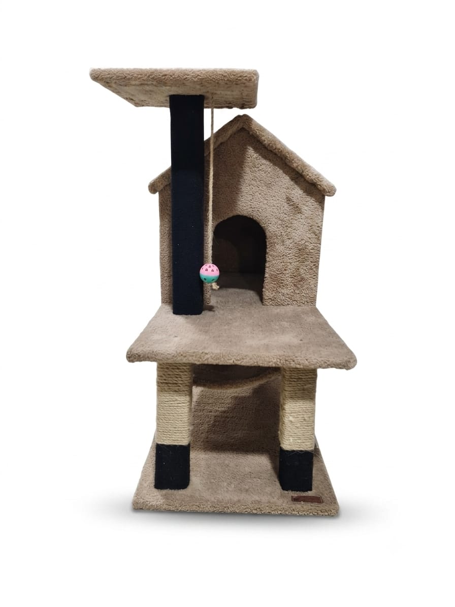 cat scratcher