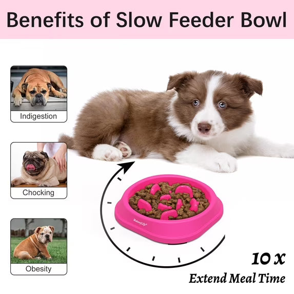 MateeyLife Slow Feeder Dog Bowls, Non Slip Cat Food Bowls, Bloat Stop Maze Pet Dishes, Interactive Feeder for Small Breeds 1 Cup Purple