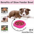 MateeyLife Slow Feeder Dog Bowls, Non Slip Cat Food Bowls, Bloat Stop Maze Pet Dishes, Interactive Feeder for Small Breeds 1 Cup Purple