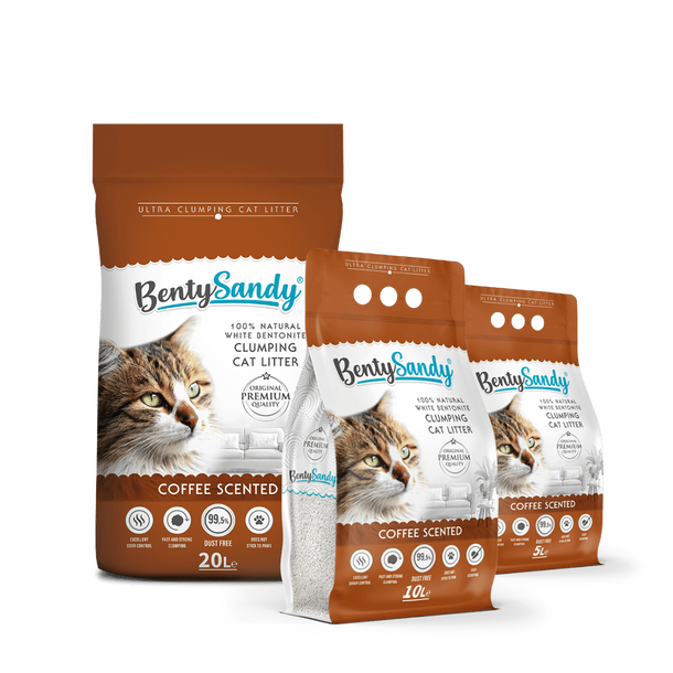 Benty Sandy Clumping Litter Coffee scented