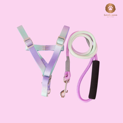 Pet Training Harness & Leash Set Walking Pet Chest Harness Training Rope FastRelease Harness EasyControl Harness Rope
