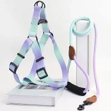 Pet Training Harness & Leash Set Walking Pet Chest Harness Training Rope FastRelease Harness EasyControl Harness Rope