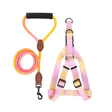 Pet Training Harness & Leash Set Walking Pet Chest Harness Training Rope FastRelease Harness EasyControl Harness Rope