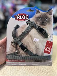 Cat Collar Harness Leash Adjustable Nylon Pet Traction Cat Small to Medium Halter Collar Gato Cats Products Pet Harness Belt