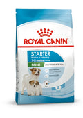 Royal Canin Mini Starter Mother & Babydog (1 KG) - Dry food for mini puppies. Adult weight up to 10 KG - Mother during gestation and lactation - Weaning puppies up to 2 months
